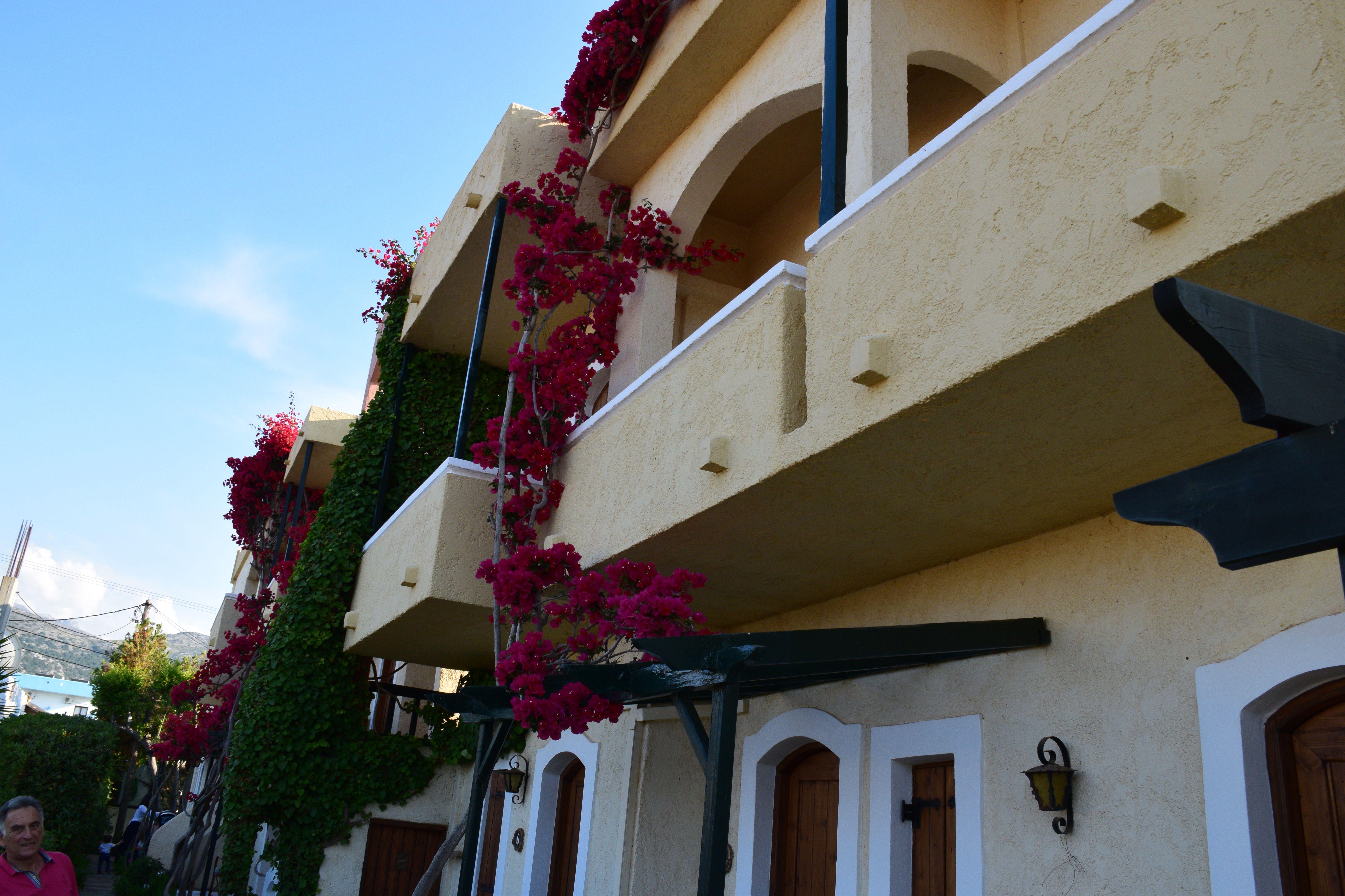 Mila Malia Studios Hotel Экстерьер фото