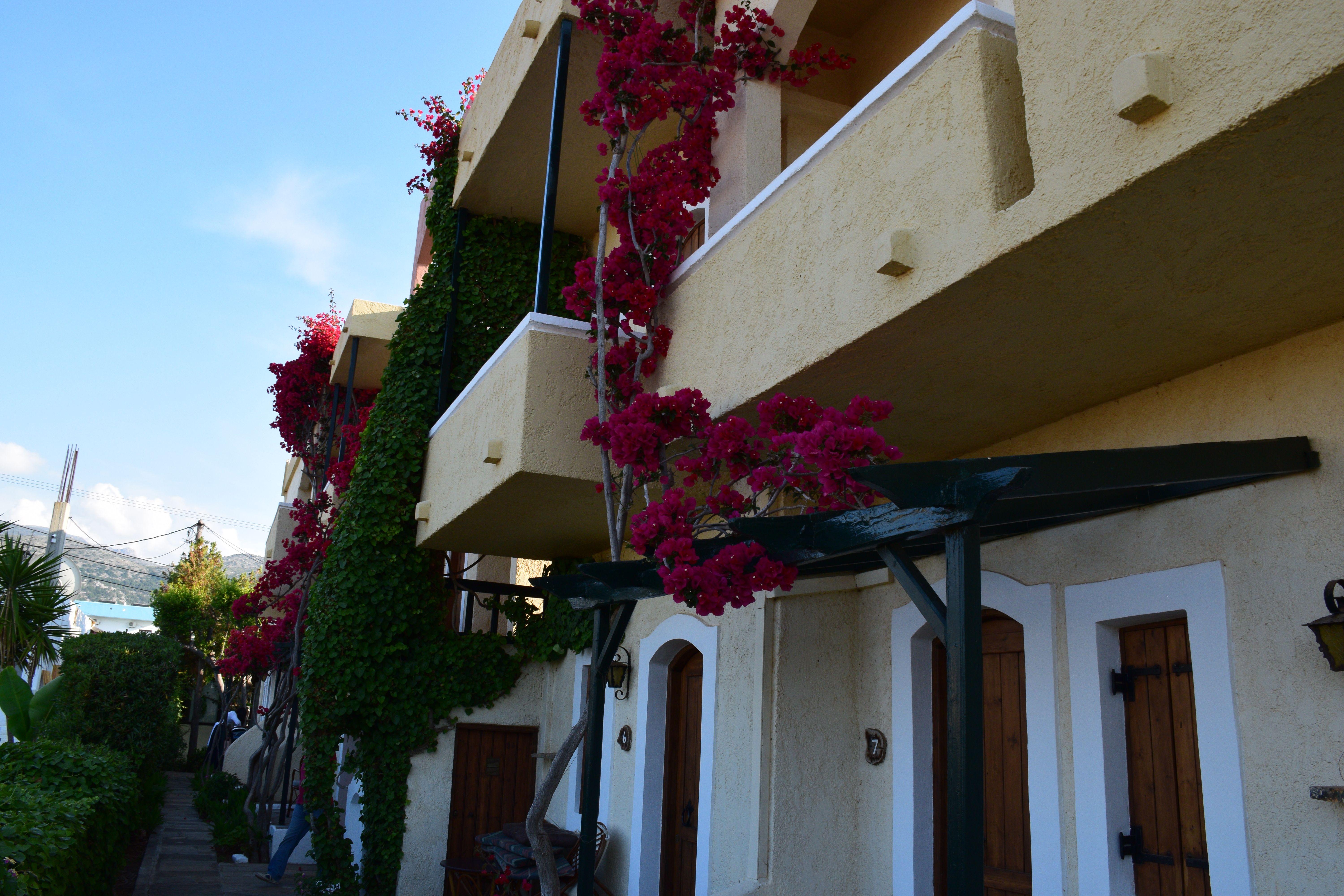 Mila Malia Studios Hotel Экстерьер фото