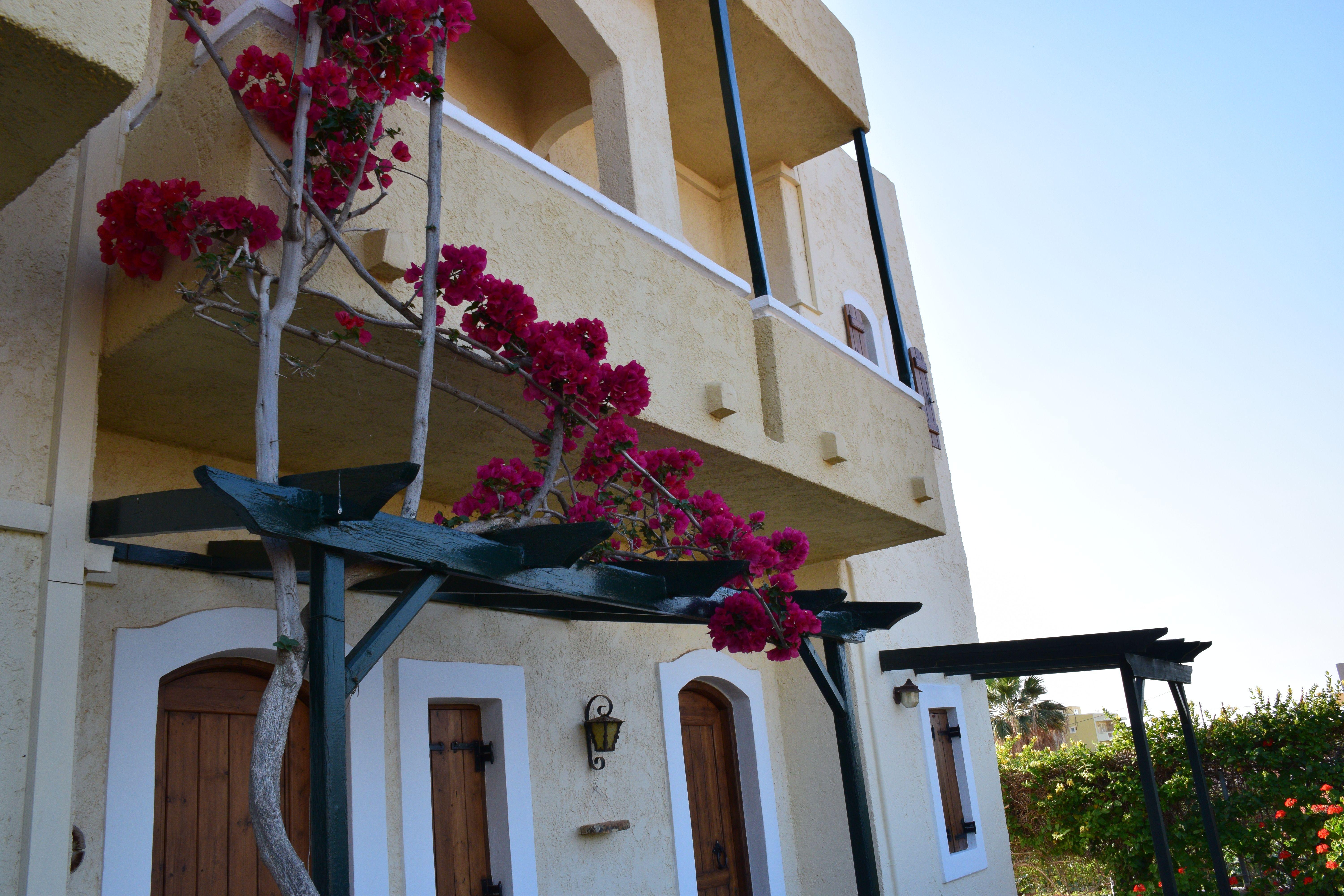 Mila Malia Studios Hotel Экстерьер фото